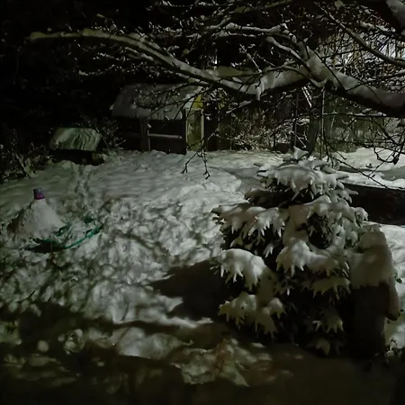 Chalé Cozy In The Heart Of Čičmany