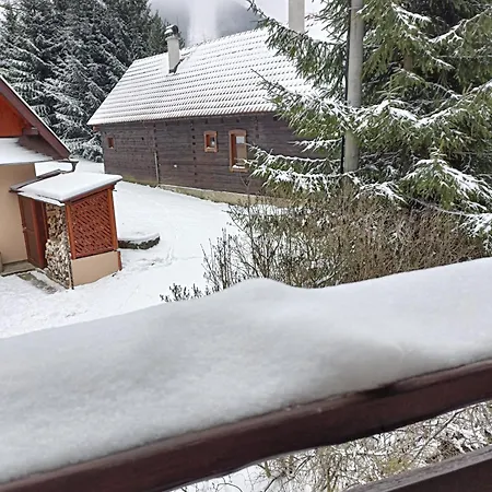 Cozy In The Heart Of *